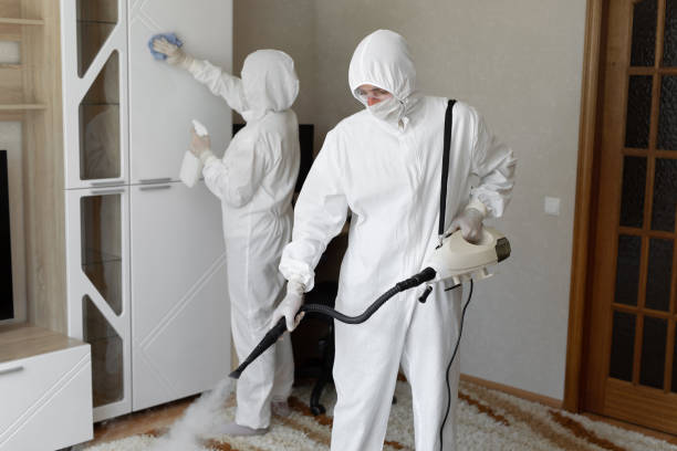 Trusted Sewage Cleanup service in Oakwood, IL - Four Month Blood Cleanse